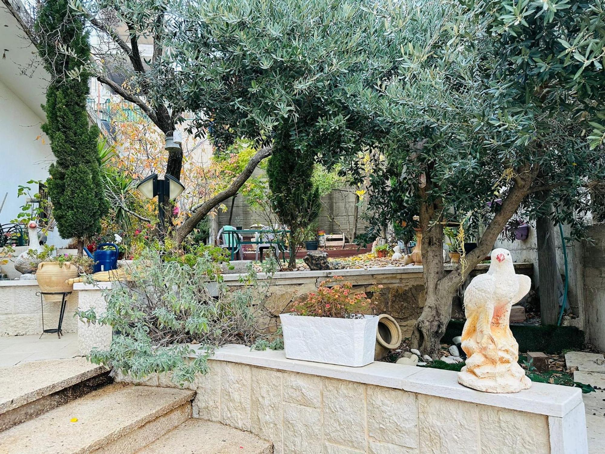 Hermon Accommodation Majdal Shams Kamer foto