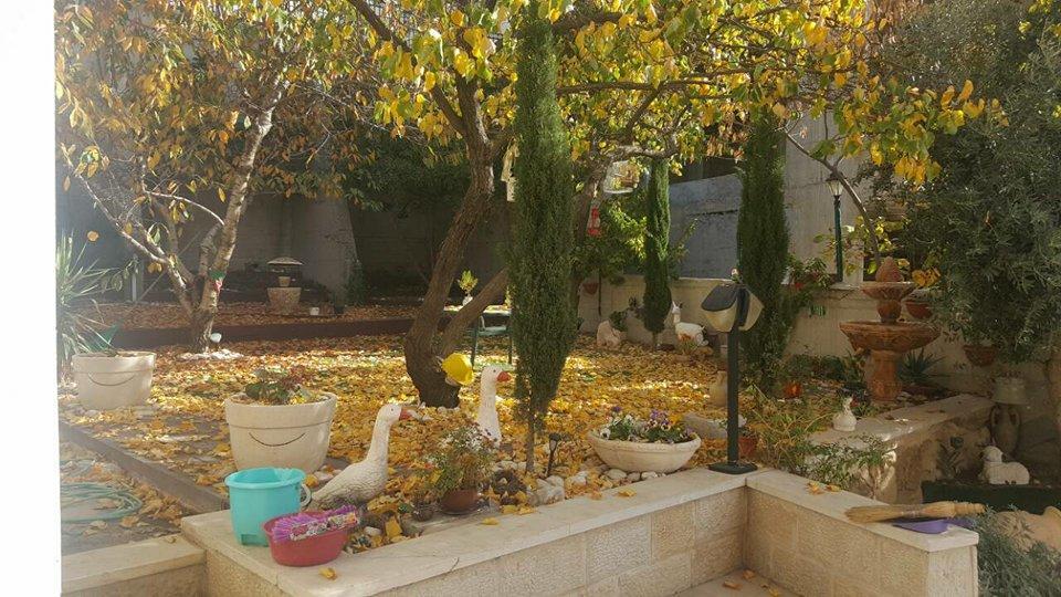 Hermon Accommodation Majdal Shams Buitenkant foto