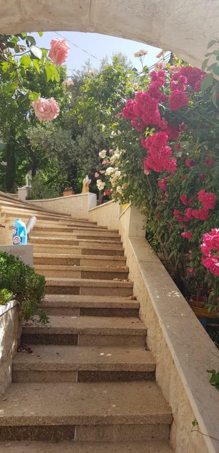 Hermon Accommodation Majdal Shams Buitenkant foto